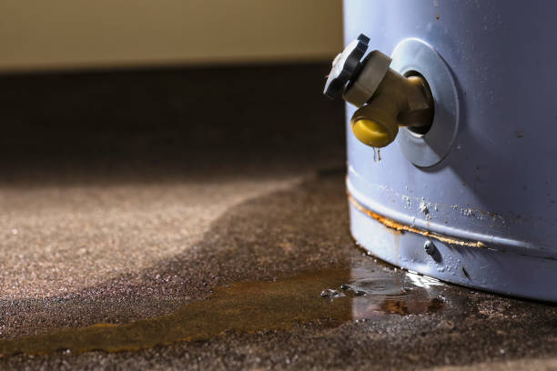 Best Flood damage cleanup  in Mount Pleasant, NC