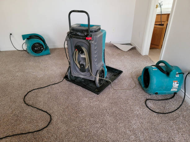 Best Flooded house restoration  in Mount Pleasant, NC