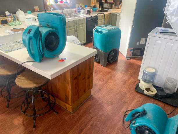 Best Basement water damage restoration  in Mount Pleasant, NC