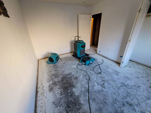 Best Local water damage restoration  in Mount Pleasant, NC