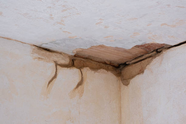 Best Water damage contractors near me  in Mount Pleasant, NC