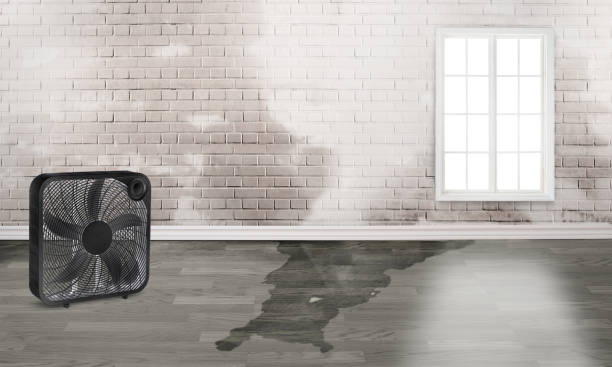  Mount Pleasant, NC Water damage restoration Pros