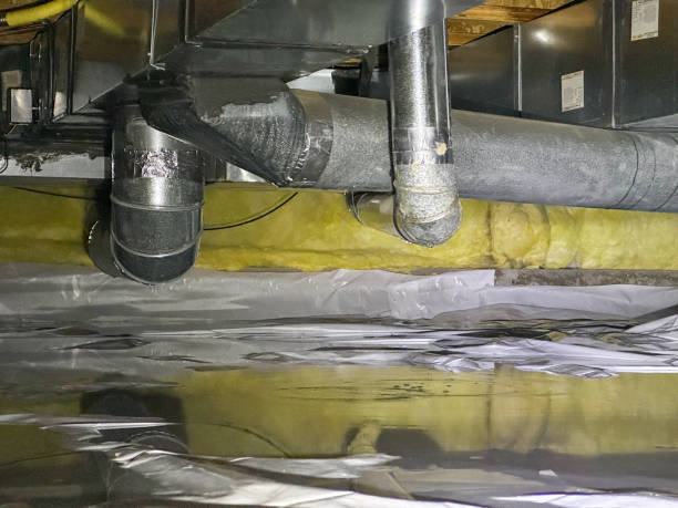Best Carpet water damage restoration  in Mount Pleasant, NC