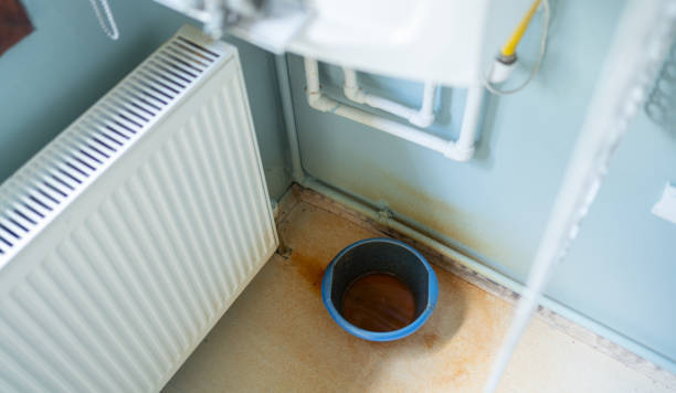Best Flooded house restoration  in Mount Pleasant, NC
