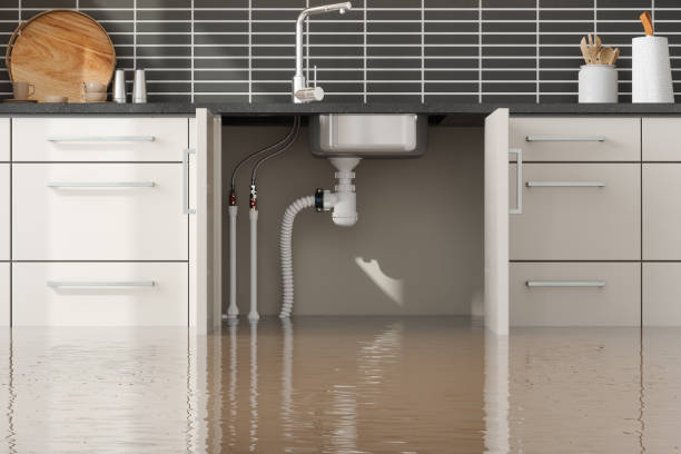 Best Fire Damage Restoration  in Mount Pleasant, NC