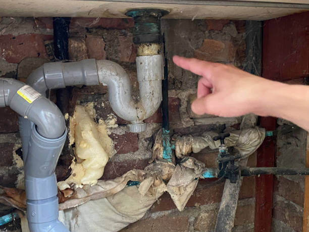 Best Mold removal after water damage  in Mount Pleasant, NC