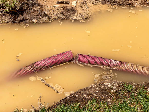 Best Professional water damage repair  in Mount Pleasant, NC