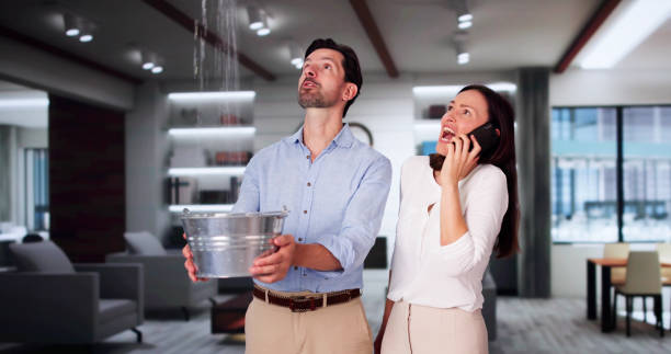 Best Water damage mitigation services  in Mount Pleasant, NC